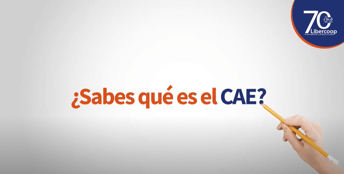Que es el CAE